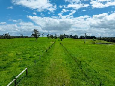 Livestock For Sale - VIC - Loch - 3945 - DORIAN - Prime West Gippsland Grazing Opportunity  (Image 2)