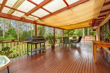House For Sale - NSW - Surfside - 2536 - Coastal Living on 1.25 acres  (Image 2)