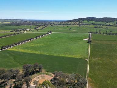 Mixed Farming Auction - NSW - Glenellen - 2642 - Develop your ideal residence on this expansive property  (Image 2)
