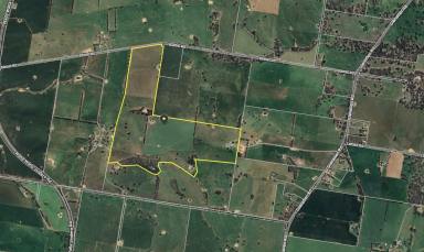 Mixed Farming For Sale - NSW - Glenellen - 2642 - Develop your ideal residence on this expansive property (Image 2)