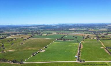Mixed Farming For Sale - NSW - Glenellen - 2642 - Develop your ideal residence on this expansive property  (Image 2)