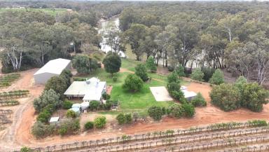 House For Sale - VIC - Piangil - 3597 - Rare Riverfront Living - Space, Serenity & Character  (Image 2)