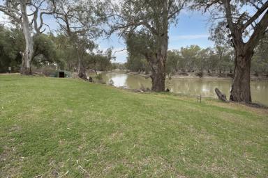 House For Sale - VIC - Piangil - 3597 - Rare Riverfront Living - Space, Serenity & Character  (Image 2)