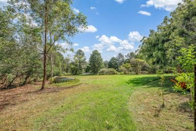 House For Lease - QLD - Carters Ridge - 4563 - Serene Hinterland Living  (Image 2)