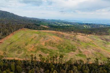 Lifestyle For Sale - NSW - Orange - 2800 - Unrivalled North-Facing Aspect on Mt Canobolas  (Image 2)