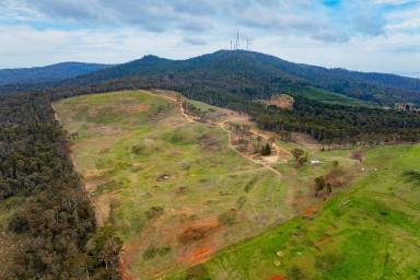 Lifestyle For Sale - NSW - Orange - 2800 - Unrivalled North-Facing Aspect on Mt Canobolas  (Image 2)