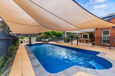 Acreage/Semi-rural For Sale - VIC - Myrtle Creek - 3551 - Forever Home - A Family Sanctuary (Image 2)