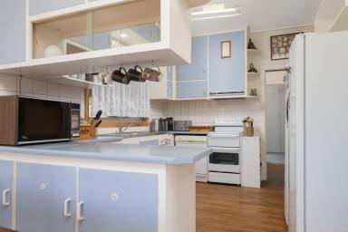 House For Sale - SA - Kingscote - 5223 - Expansive family home with exceptional shedding. Large block, great position. Perfect Island escape, rental or permanent Island residence.  (Image 2)