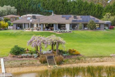 Lifestyle For Sale - VIC - Bambra - 3241 - A Life of Natural Abundance at the Foothills of the Otways  (Image 2)