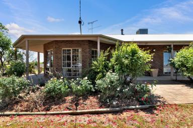 House For Sale - VIC - Nichols Point - 3501 - Lifestyle and Space.  (Image 2)