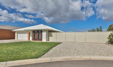 House For Sale - VIC - Mildura - 3500 - Investor's Delight - Modern Home with Side Access  (Image 2)