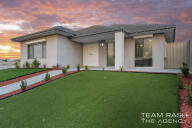 House For Sale - WA - Caversham - 6055 - Corner Charmer in Caversham  (Image 2)