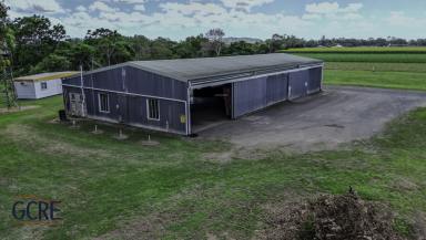 Other (Commercial) For Lease - QLD - Pleystowe - 4741 - VACANT READY NOW  (Image 2)