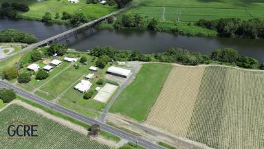 Other (Commercial) For Lease - QLD - Pleystowe - 4741 - VACANT READY NOW  (Image 2)
