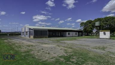 Other (Commercial) For Lease - QLD - Pleystowe - 4741 - VACANT READY NOW (Image 2)