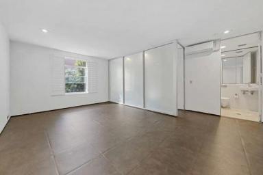 Unit Leased - NSW - Darlinghurst - 2010 - Darlinghurst apartment for rent (Image 2)