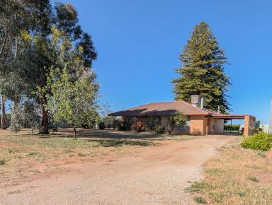 House For Sale - VIC - Tresco - 3583 - Versatile 6.41ha (15.8 Acres Approx.) Irrigated Property with Quality Home, Shedding & Orchard  (Image 2)