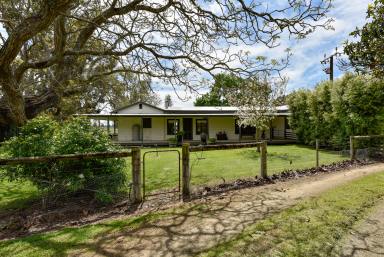 Other (Rural) For Sale - SA - Naracoorte - 5271 - 103 Acres - Highly Productive, Classic Red Gum Country - 4 Bed, 2 bath Home  (Image 2)