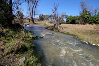 House For Sale - NSW - Inverell - 2360 - KUMPARTOO - Home on acreage and McIntyre River  (Image 2)