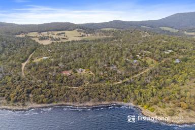 Residential Block For Sale - TAS - Alonnah - 7150 - A Rare Bushland Retreat by the Sea - 4.2ha in the Heart of Alonnah, Bruny Island  (Image 2)