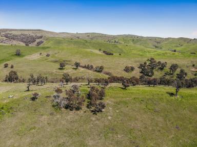 Other (Rural) Auction - NSW - Adelong - 2729 - High Rainfall Grazing!  (Image 2)