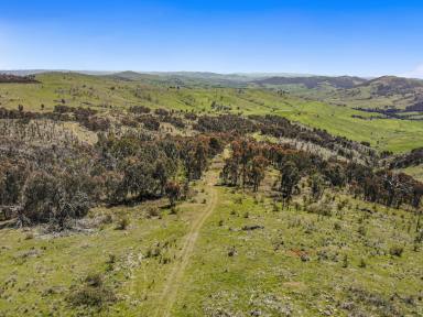 Other (Rural) Auction - NSW - Adelong - 2729 - High Rainfall Grazing!  (Image 2)