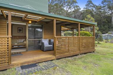 House For Sale - TAS - Taranna - 7180 - Warm Timber Home with Bay Views and Acreage  (Image 2)