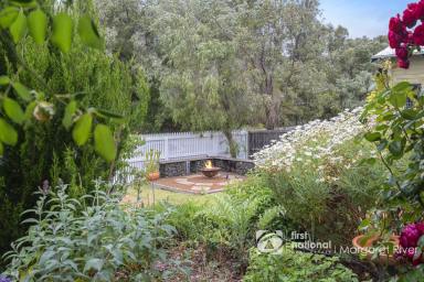 House For Sale - WA - Margaret River - 6285 - CHARMING FAMILY COTTAGE OVERLOOKING DARCH BROOK RESERVE  (Image 2)