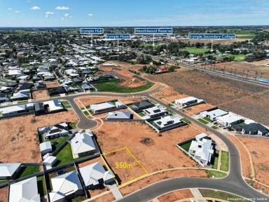 Residential Block For Sale - VIC - Irymple - 3498 - YOUR DREAM HOME AWAITS!  (Image 2)