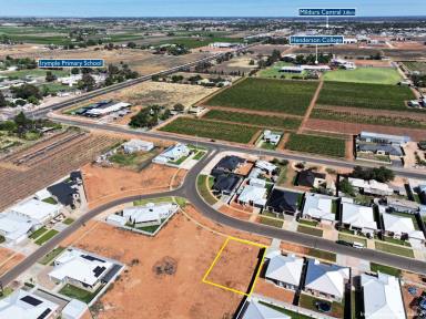 Residential Block For Sale - VIC - Irymple - 3498 - YOUR DREAM HOME AWAITS!  (Image 2)