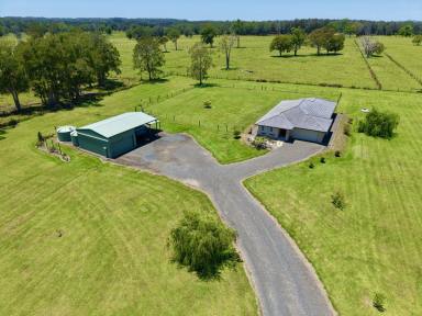 Acreage/Semi-rural For Sale - NSW - Oxley Island - 2430 - COUNTRY COMFORT CLOSE TO THE COAST  (Image 2)