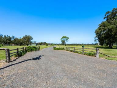 Acreage/Semi-rural For Sale - NSW - Oxley Island - 2430 - COUNTRY COMFORT CLOSE TO THE COAST  (Image 2)