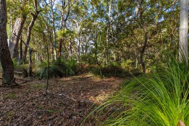 Residential Block For Sale - QLD - Peregian Beach - 4573 - Outstanding Acreage Opportunity in Peregian Beach  (Image 2)