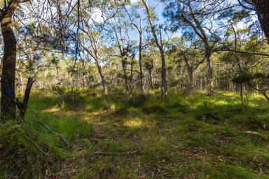 Residential Block For Sale - QLD - Peregian Beach - 4573 - Outstanding Acreage Opportunity in Peregian Beach  (Image 2)