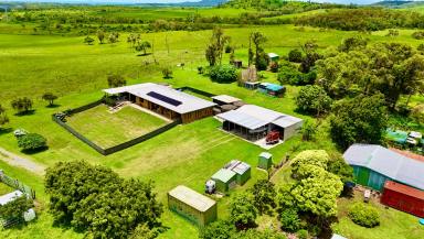 Acreage/Semi-rural For Sale - QLD - Hay Point - 4740 - Hilltop Haven with Endless Potential - 18.2 Acres in Hay Point  (Image 2)
