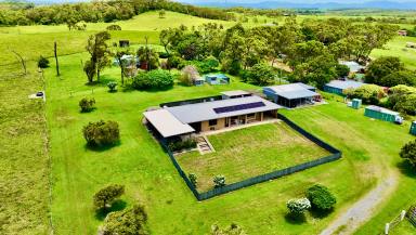 Acreage/Semi-rural For Sale - QLD - Hay Point - 4740 - Hilltop Haven with Endless Potential - 18.2 Acres in Hay Point  (Image 2)