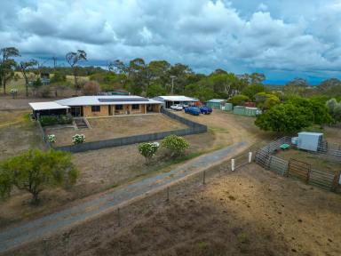 Acreage/Semi-rural For Sale - QLD - Hay Point - 4740 - Hilltop Haven with Endless Potential - 18.2 Acres in Hay Point (Image 2)