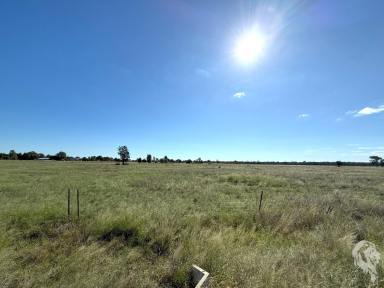 Residential Block For Sale - NSW - Narrabri - 2390 - OUT-OF-TOWN BLOCK | GREAT VIEWS  (Image 2)