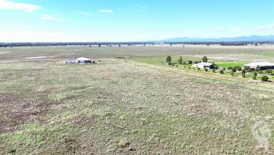 Residential Block For Sale - NSW - Narrabri - 2390 - OUT-OF-TOWN BLOCK | GREAT VIEWS  (Image 2)