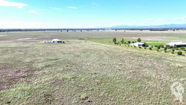 Residential Block For Sale - NSW - Narrabri - 2390 - BLOCKS WITH VIEWS: 1 SOLD, 1 TO SELL!  (Image 2)