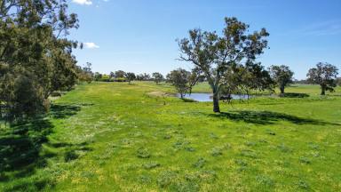 Lifestyle For Sale - VIC - Vasey - 3407 - RURAL LIVING - IMMACULATELY PRESENTED  (Image 2)