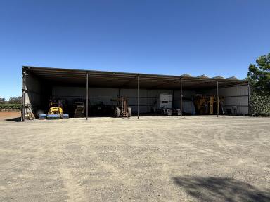 Viticulture For Sale - NSW - Bilbul - 2680 - Lifestyle allotment - Large shed and minutes from town  (Image 2)