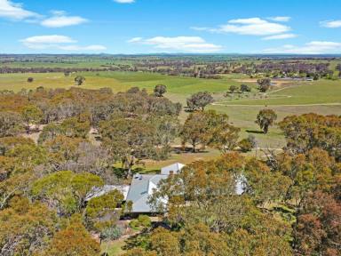 Lifestyle For Sale - NSW - Young - 2594 - Stunning Elevated Bush Holding with Magical Views of the Rolling Hills & Vineyards  (Image 2)