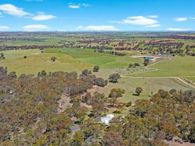 Lifestyle For Sale - NSW - Young - 2594 - Stunning Elevated Bush Holding with Magical Views of the Rolling Hills & Vineyards  (Image 2)