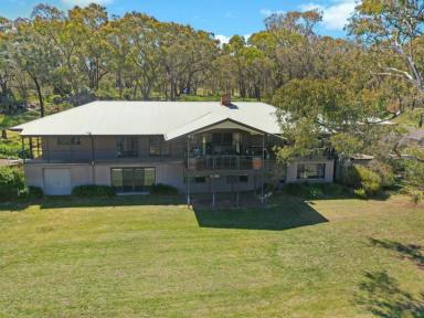 Lifestyle For Sale - NSW - Young - 2594 - Stunning Elevated Bush Holding with Magical Views of the Rolling Hills & Vineyards  (Image 2)