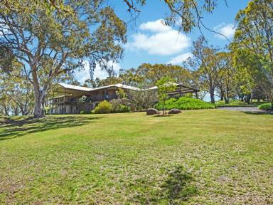 Lifestyle For Sale - NSW - Young - 2594 - Stunning Elevated Bush Holding with Magical Views of the Rolling Hills & Vineyards  (Image 2)