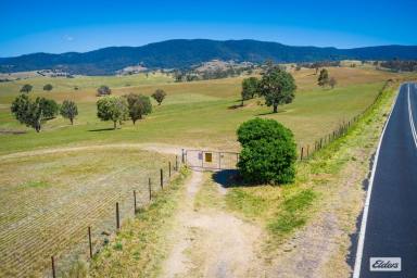 Residential Block For Sale - NSW - Tantawangalo - 2550 - CLEAN, PRODUCTIVE GRAZING COUNTRY  (Image 2)