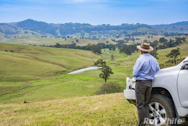 Lifestyle For Sale - NSW - East Gresford - 2311 - Productivity, Water Security & Rural Charm  (Image 2)