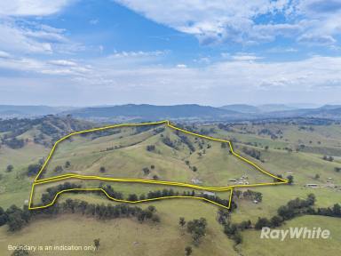 Lifestyle For Sale - NSW - East Gresford - 2311 - Productivity, Water Security & Rural Charm  (Image 2)