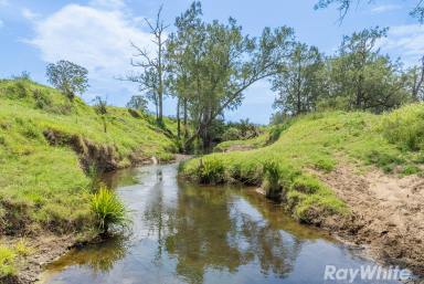 Lifestyle For Sale - NSW - East Gresford - 2311 - Productivity, Water Security & Rural Charm  (Image 2)